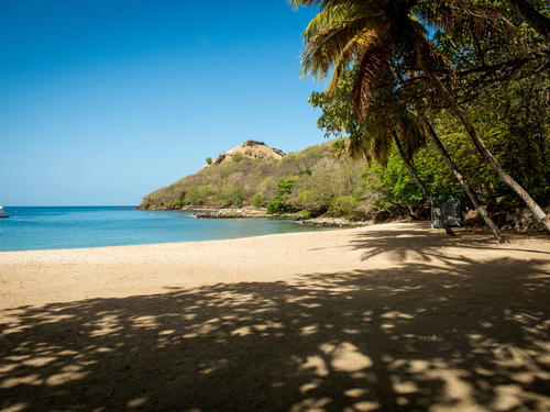 St. Lucia (Castries)  West Indies Pigeon Island Sightseeing Shore Excursion Prices