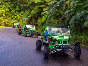 St. Lucia Catamaran Cruise and Buggy Adventure Excursion