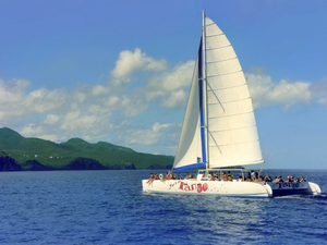 St. Lucia Catamaran Sail to Soufriere, Coubaril Estate and Lunch Excursion
