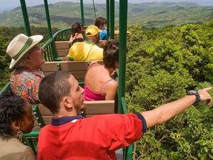 St. Lucia Famous Rainforest Aerial Tram Excursion with Round-Trip Transportation