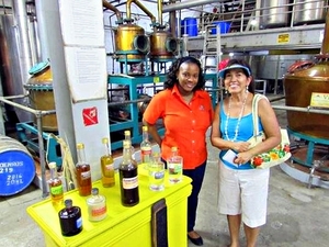 St. Lucia Island Sightseeing and Rum Tasting Excursion