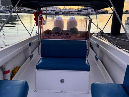 St. Lucia Private Soufriere Speedboat, Mud Bath, and Beach Adventure