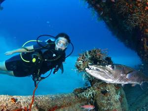 St. Maarten 1 & 2-Tank SCUBA Diving Excursion by Boat