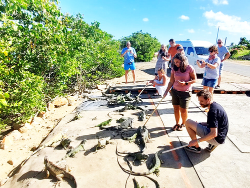 St. Martin private Trip Reviews