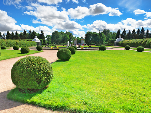 St. Petersburg St. Peter