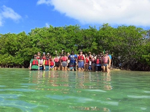 Virgin Islands mangrove kayak Tour Cost