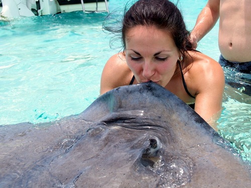 Cayman Islands turtle farm Shore Excursion Prices