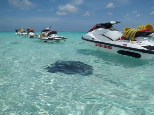 Grand Cayman  George Town Stingray City  Excursion