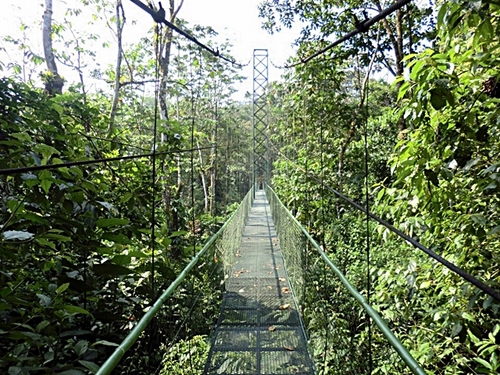Puntarenas Costa Rica suspension bridges Tickets Booking