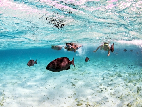 Grand Cayman snorkeling Trip Reservations
