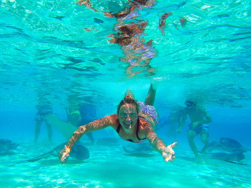 Grand Cayman turtle farm Trip Reviews