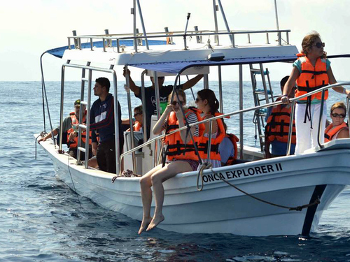 Mazatlan wild dolphins Cruise Excursion Booking