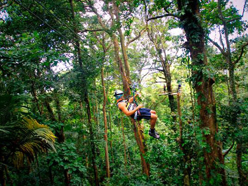 St. Lucia (Castries)  rainforest reserve Trip Booking