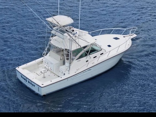 Taino Bay Private Deep Sea Fishing Charter Excursion