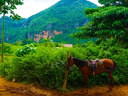 Taino Bay Puerto Plata's Highest Point Views and Historic Town Sightseeing Excursion