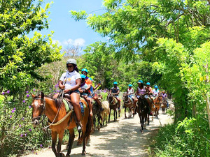 Taino Bay Puerto Plata Sightseeing and Horseback Riding Excursion