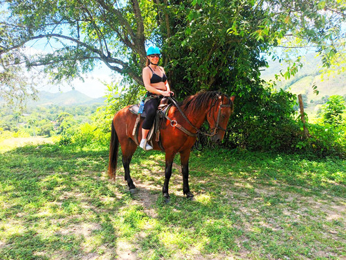 Taino Bay Puerto Plata Sightseeing and Horseback Riding Excursion