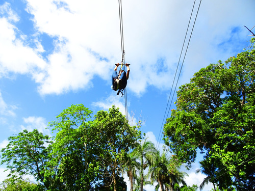 Taino Bay Puerto Plata Sightseeing and Zip Line Canopy Excursion