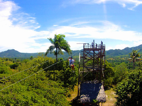 Taino Bay Squirrel Monkey Encounter and 8 Zip Lines Excursion 