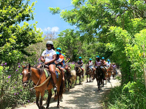 Taino Bay Squirrel Monkey Encounter and Horseback Riding Excursion