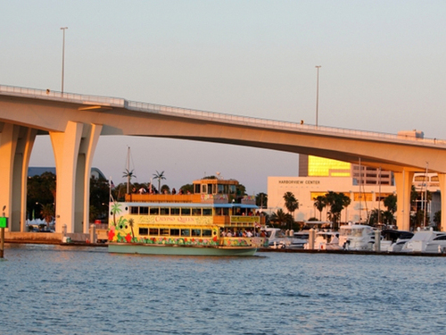 Tampa wild dolphins Shore Excursion Booking