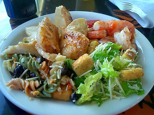 Tampa  US wild dolphins Cruise Excursion Booking