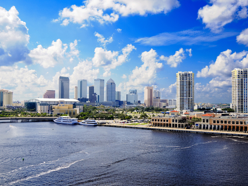 Tampa  US wild dolphins Shore Excursion Cost