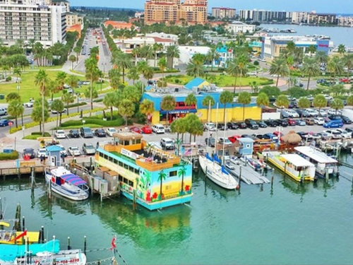 Tampa  US wild dolphins Tour Reservations