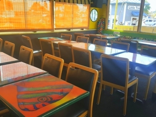 Tampa  US wild dolphins Tour Cost