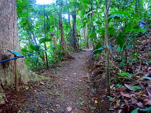 Puerto Limon Rain Forest Trip