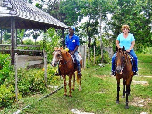 Montego Bay ocean swim with horses Cruise Excursion