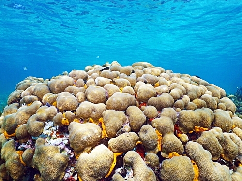 Grand Turk  Turks and Caicos beach resort Trip Prices