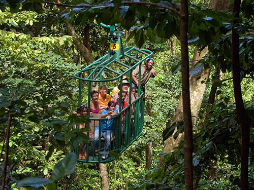 St. Lucia (Castries)  aerial tram Shore Excursion Prices