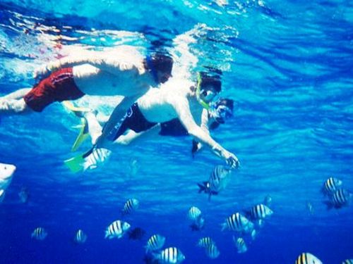 Cozumel snorkeling  Prices