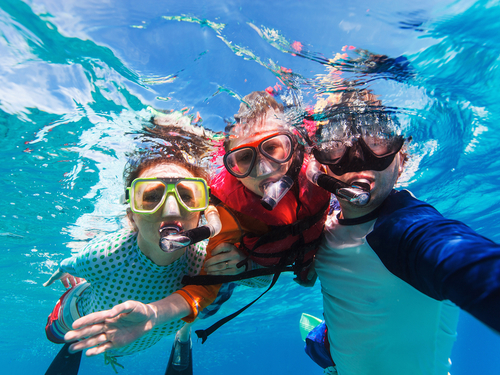 Grand Cayman swim with stingrays Shore Excursion Prices