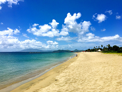 StBasseterre boat Shore Excursion Booking