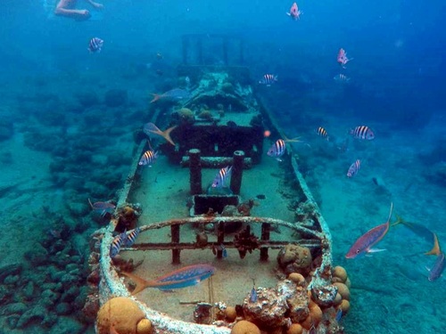 Curacao Willemstad tugboat wreck snorkel Excursion Booking