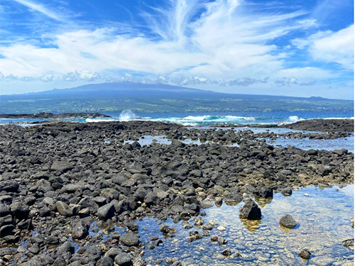 Hilo  Hawaii fish Trip Cost