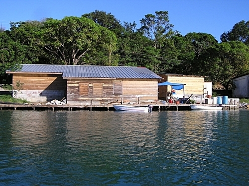 Roatan Honduras snorkeling Cruise Excursion Tickets