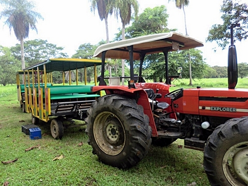 Puntarenas Costa Rica city sightseeing Trip Cost