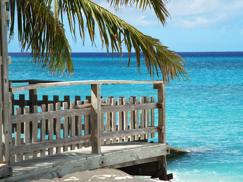 Turks and Caicos sightseeing Shore Excursion Cost