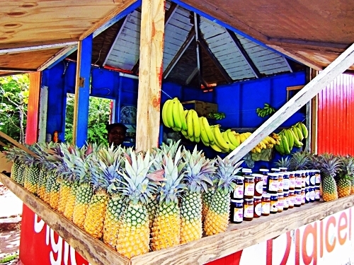 Antigua Liberty Village Cruise Excursion Booking