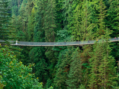 Vancouver Capilano Suspension Bridge Park Shore Excursion Reservations