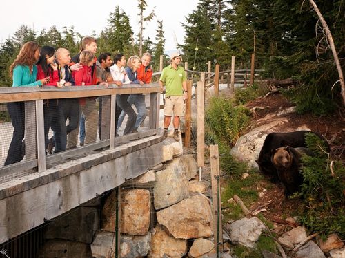 Vancouver  British Columbia Capilano River Hatchery Shore Excursion Tickets