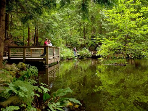 Vancouver Capilano Suspension Bridge Park Tour Reviews