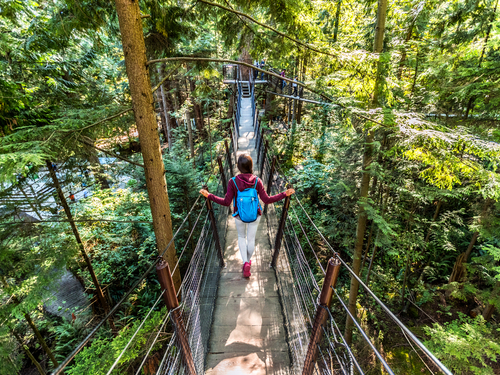 Vancouver Lions Gate Bridge Excursion Reservations