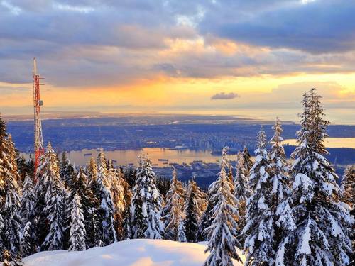 Vancouver Lions Gate Bridge Cruise Excursion Prices