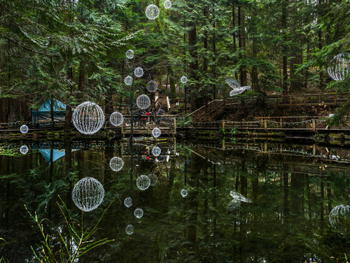 Vancouver  British Columbia Capilano River Hatchery Trip Prices