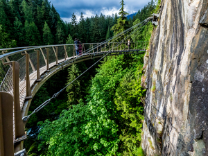 Vancouver City Sightseeing and Capilano Suspension Bridge Excursion