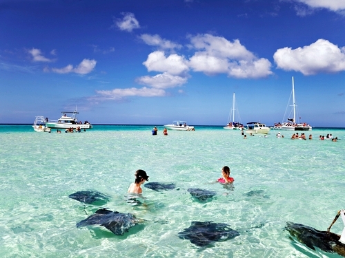 Grand Cayman stingray city Excursion Prices